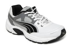 自动攻击网站工具下载